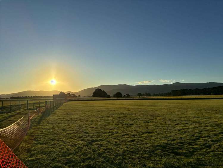 Lot 2, 36A Spencer Lane_5