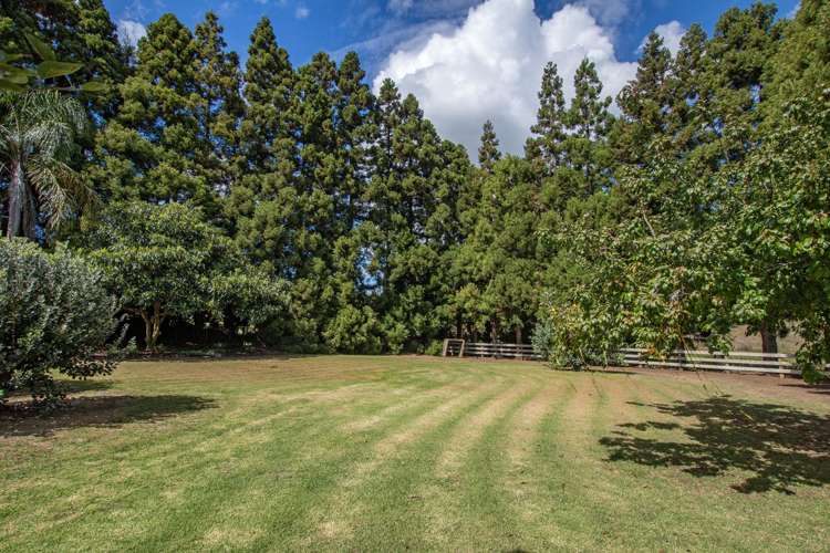 133 Apotu Road Kauri_1