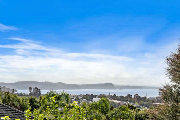 115 Wade River Road Stanmore Bay_12