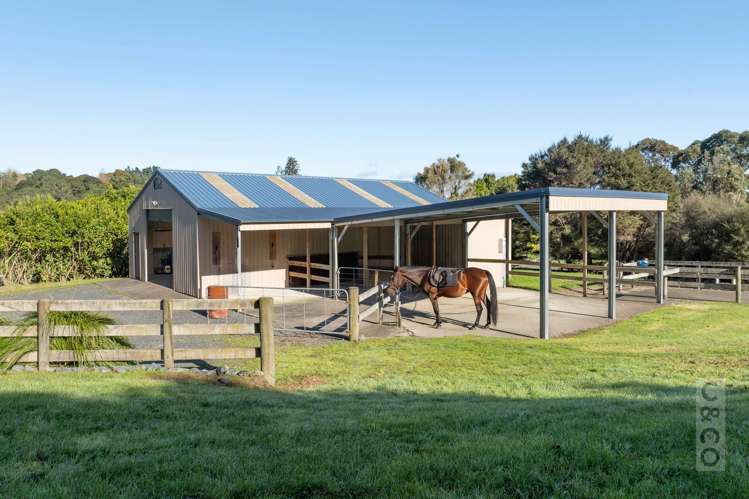 208B Glenmore Road_0