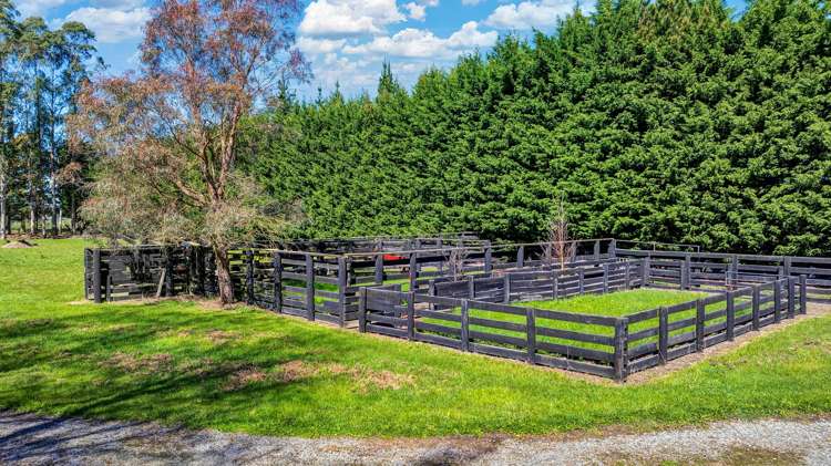 2469 Tram Road West Eyreton_40