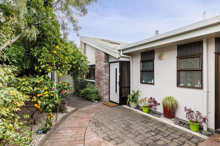 10 Hetley Crescent Taradale_3