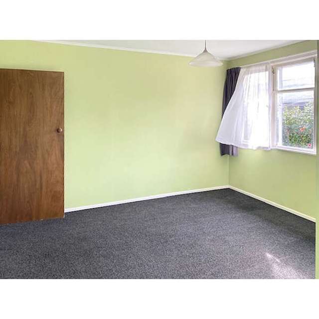 132 Elizabeth Drive 11139_4