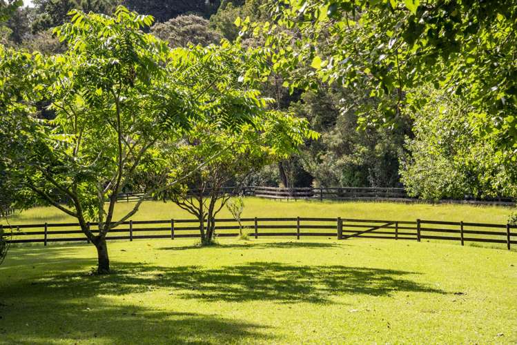 102 Blackbridge Road Dairy Flat_11