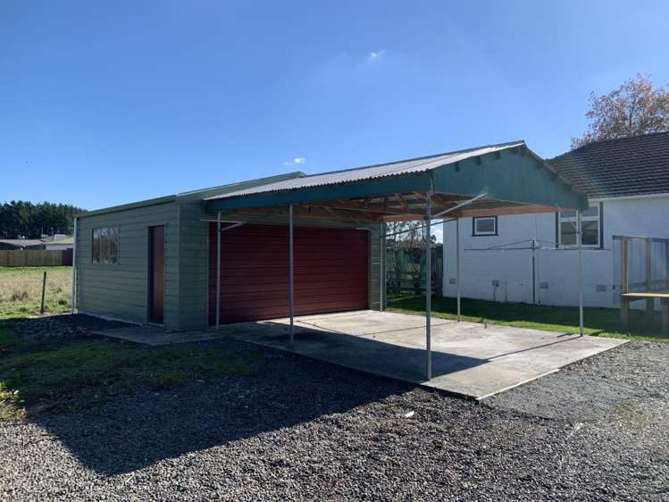 25 Flower Street Bulls_12