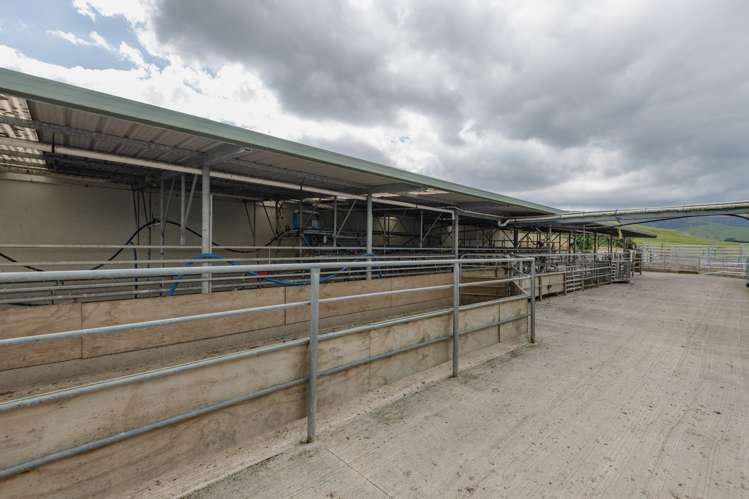 18 Beagley Road Woodville_11