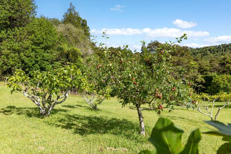 1612B Pakiri Road Pakiri_22