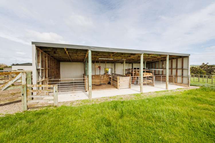 506 Sandon Road Feilding_9