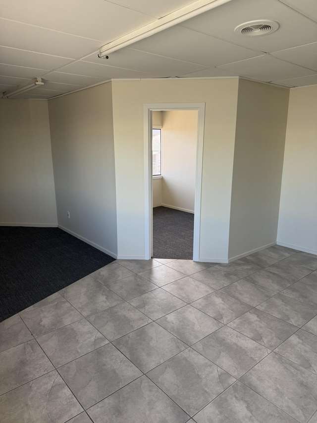 58 Kingsley Street Sydenham_4
