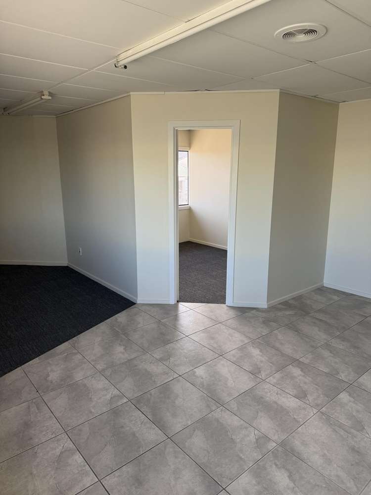 58 Kingsley Street Sydenham_4