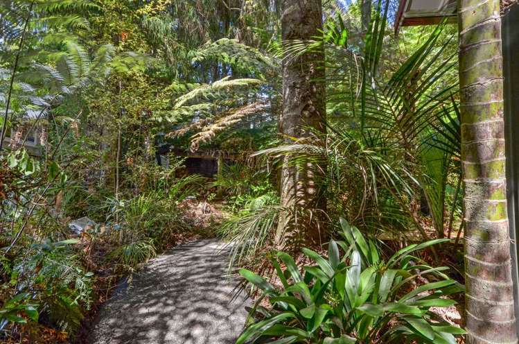 138 Konini Road Titirangi_32