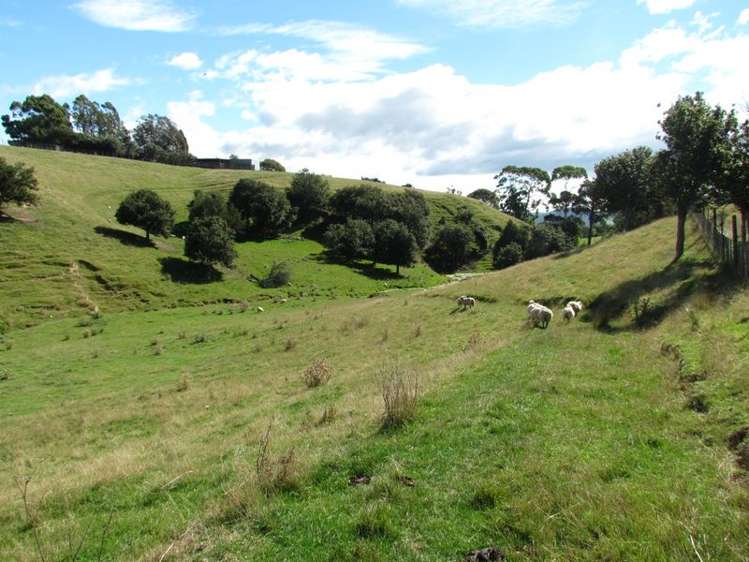 41 Lees Pakaraka Road Masterton_23