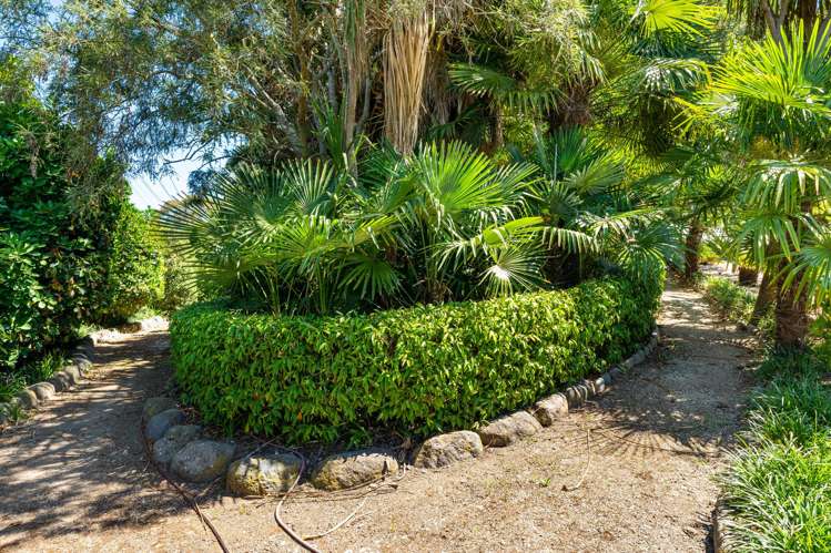 142 Springvale Road Westmere_18