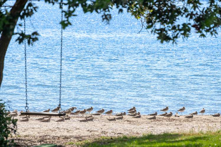 27 Schooner Avenue Snells Beach_29