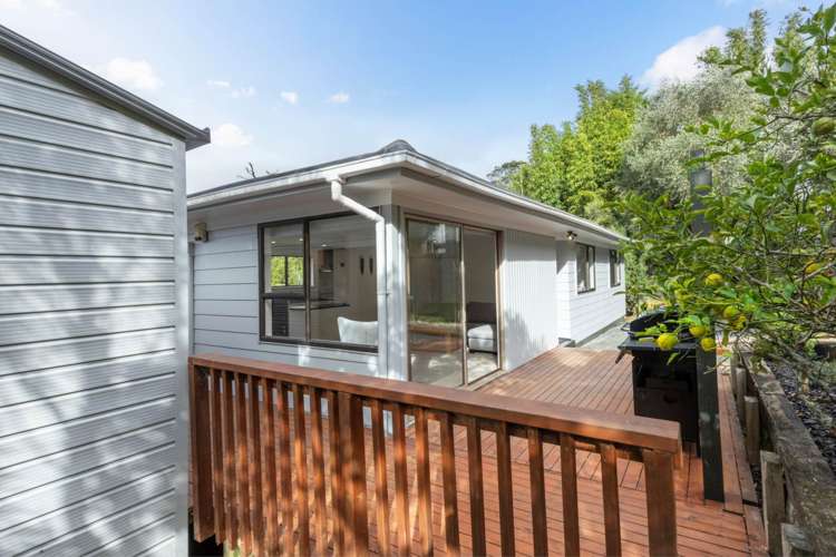 19 Hydra Place Glen Eden_13