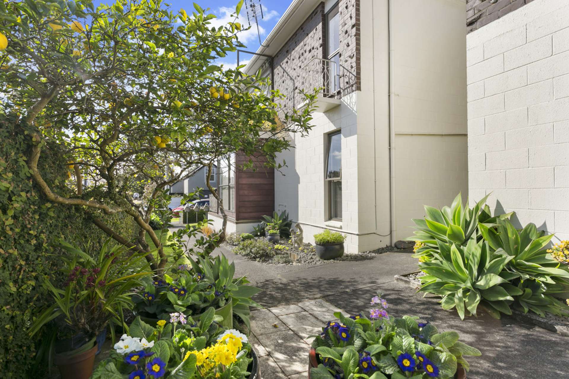 28a King Edward Avenue Epsom_0