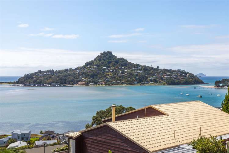 8 Pine Grove Tairua_14