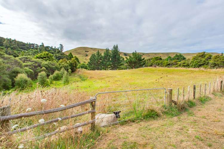 686 Te Papatapu Road Raglan_24