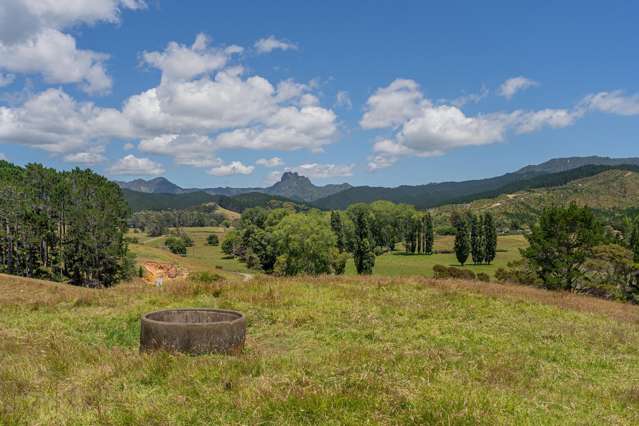 106 State Highway 25 Otapaurau_1