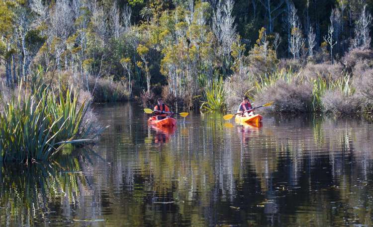 Racecourse Residential Subdivision Hokitika_6