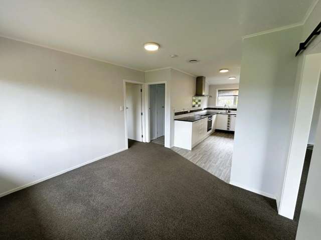 709 Te Rahu Rd 11385_4