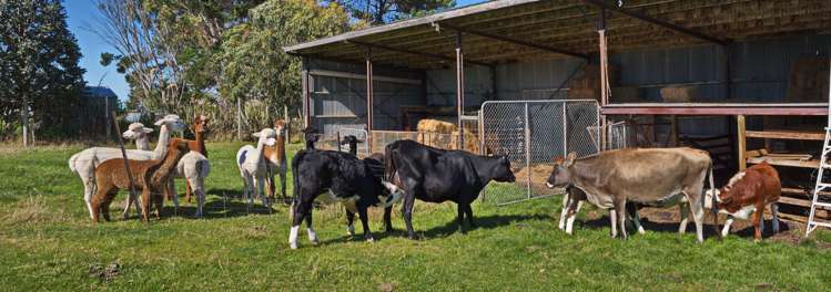 34 Elizabeth Street Riverton_25