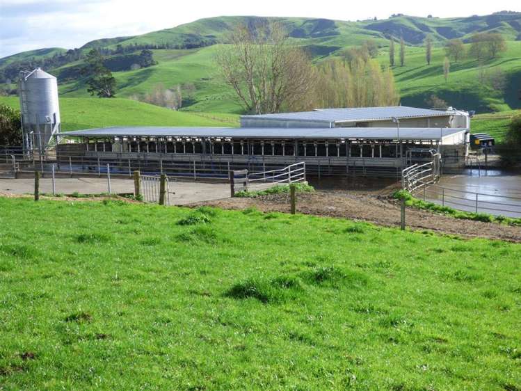 203/219 Paewhenua Road Maihiihi_19