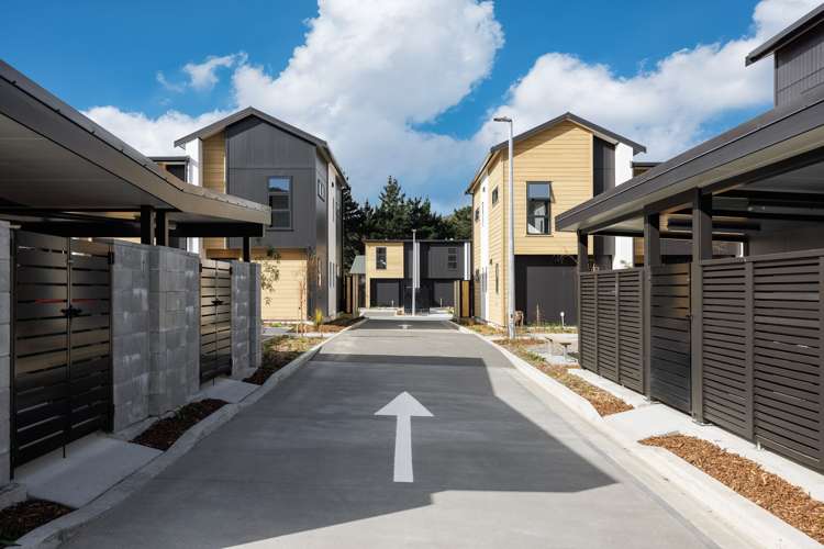 4 Te Ara O Papatahi Wainuiomata_11