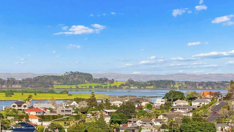 113a Queenstown Road Onehunga_16