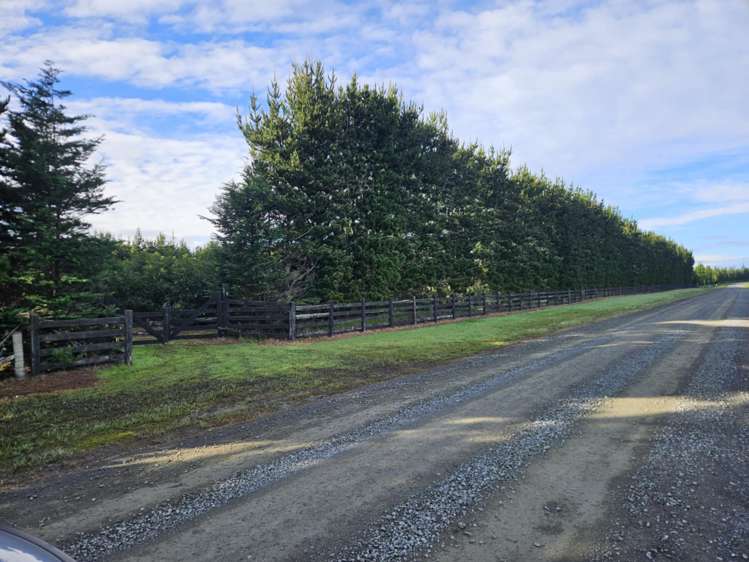 Heath Road Waiharara_8