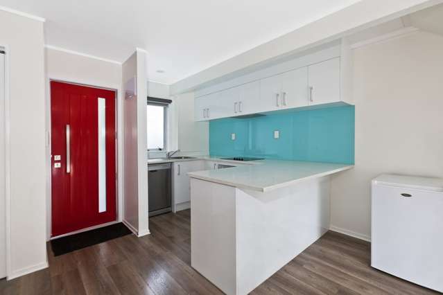 3/20 Spring Street Onehunga_1