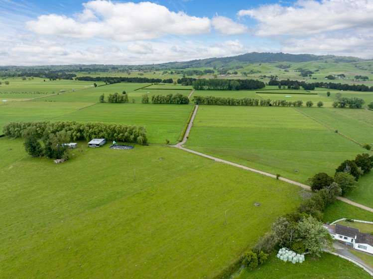 250 No 8 Road Morrinsville_7