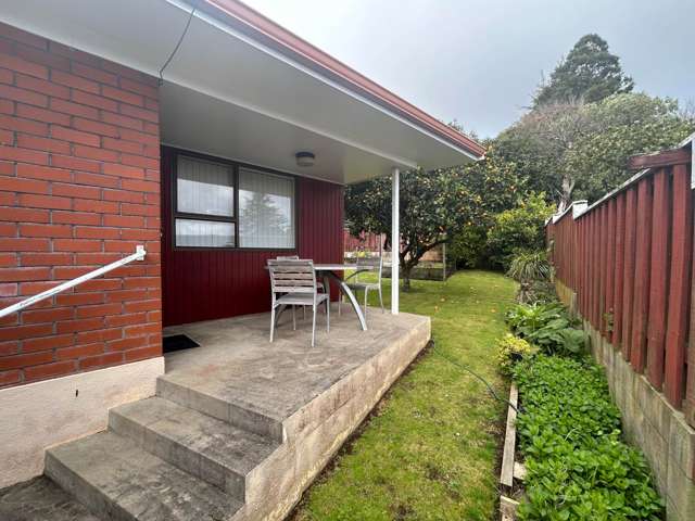 21A Ramsey Street Papatoetoe_2