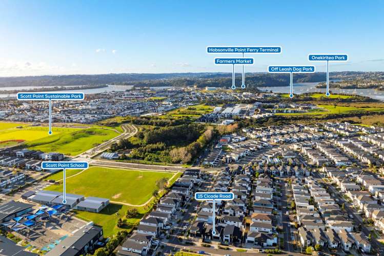 15 Cicada Road Hobsonville_5