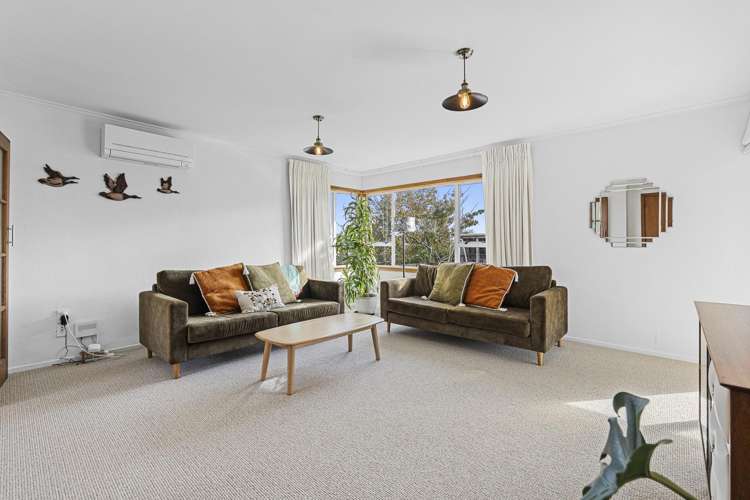 158A Brooklands Road Vogeltown_8