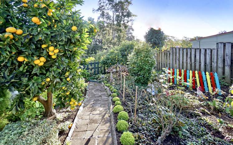 11 Valley Road Te Puke_23