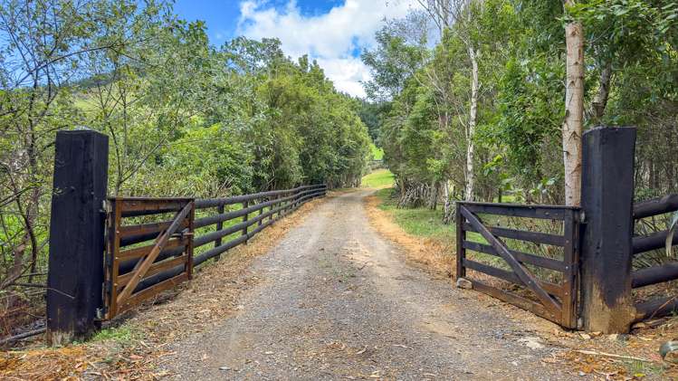 44 Packtrack Road Thames_4