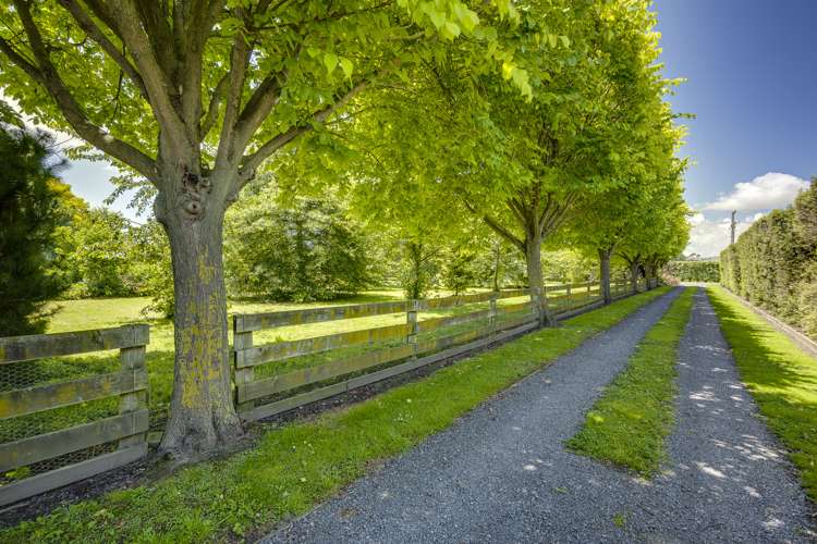 616 Saint Georges Road Havelock North_15