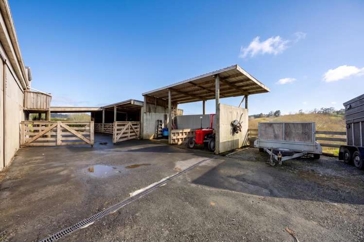 31 Frost Road Waitoki_30