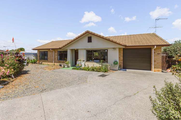 119 Riverton Drive Randwick Park Manukau City Houses for Sale