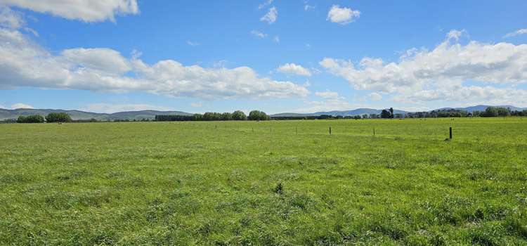 236 Walker Road Lumsden Surrounds_13