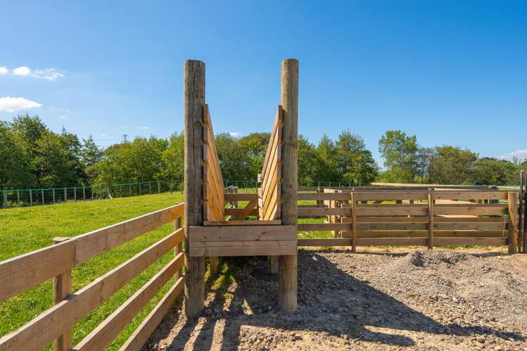 168D Nannestads Line Bunnythorpe_22