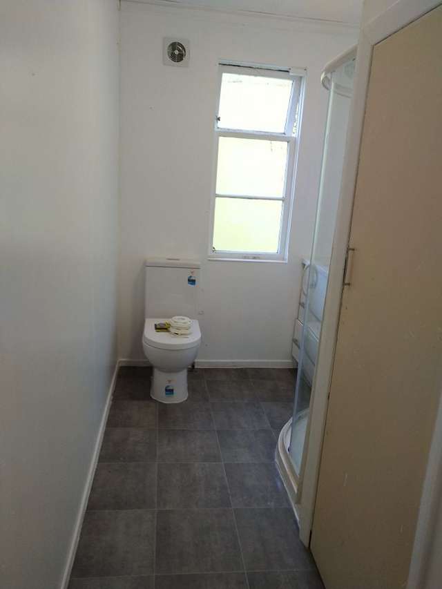 2/13A Adams Terrace Aro Valley Wellington City Houses for Rent