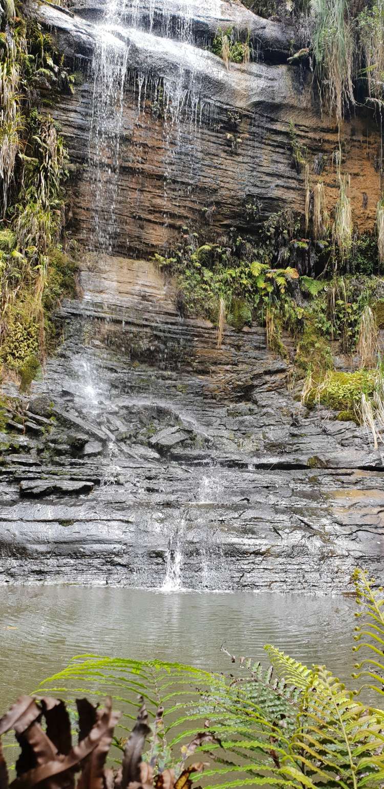 448 Moir Hill Road Warkworth_17