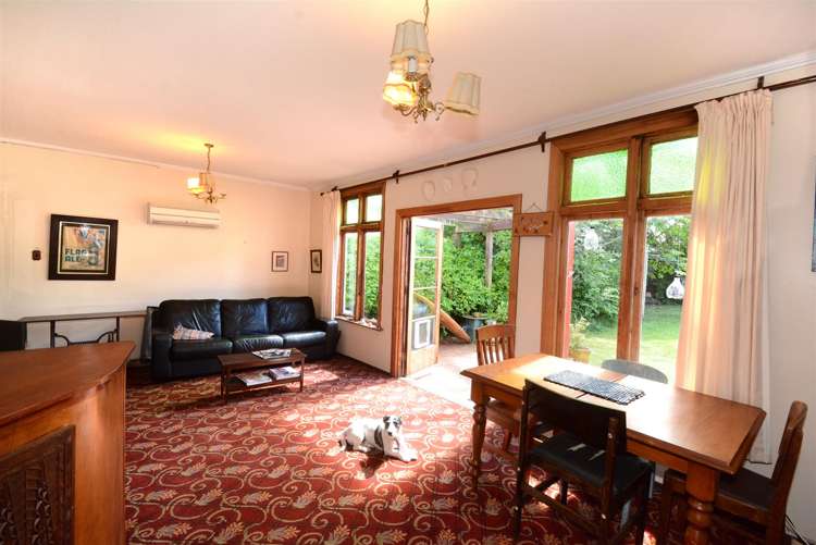 195 Forbury Road Saint Clair_22