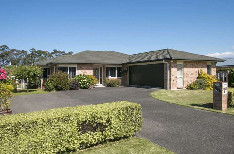 43 Wills Road Katikati_15