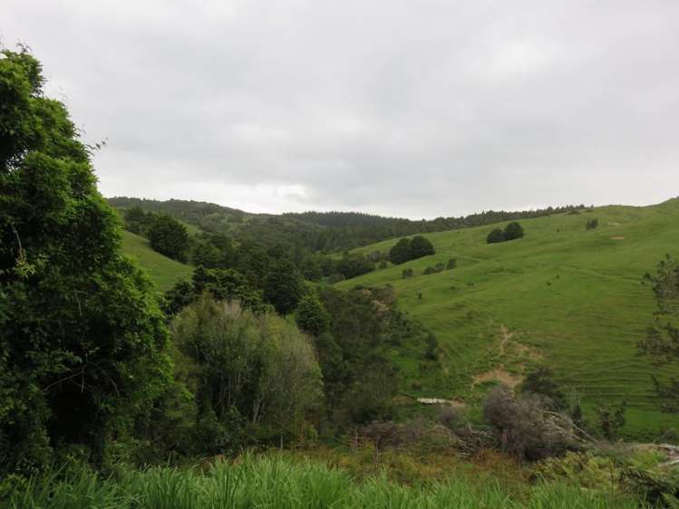 401 Humphreys Road Panguru Far North Houses for Sale One Roof