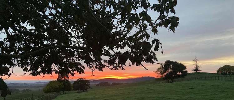 263b Waerenga Road Te Kauwhata_17