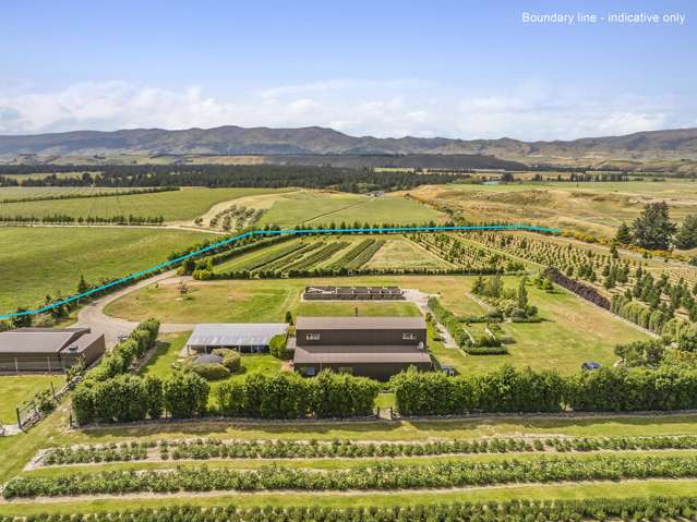 SuziQs 8.3ha Peony, Lavender & Christmas Tree Farm