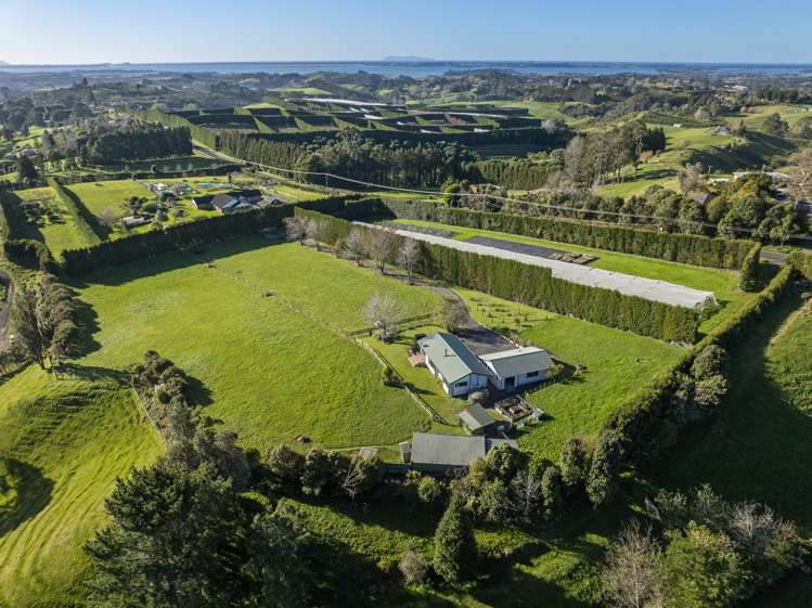 386 Wainui South Road Whakamarama_2